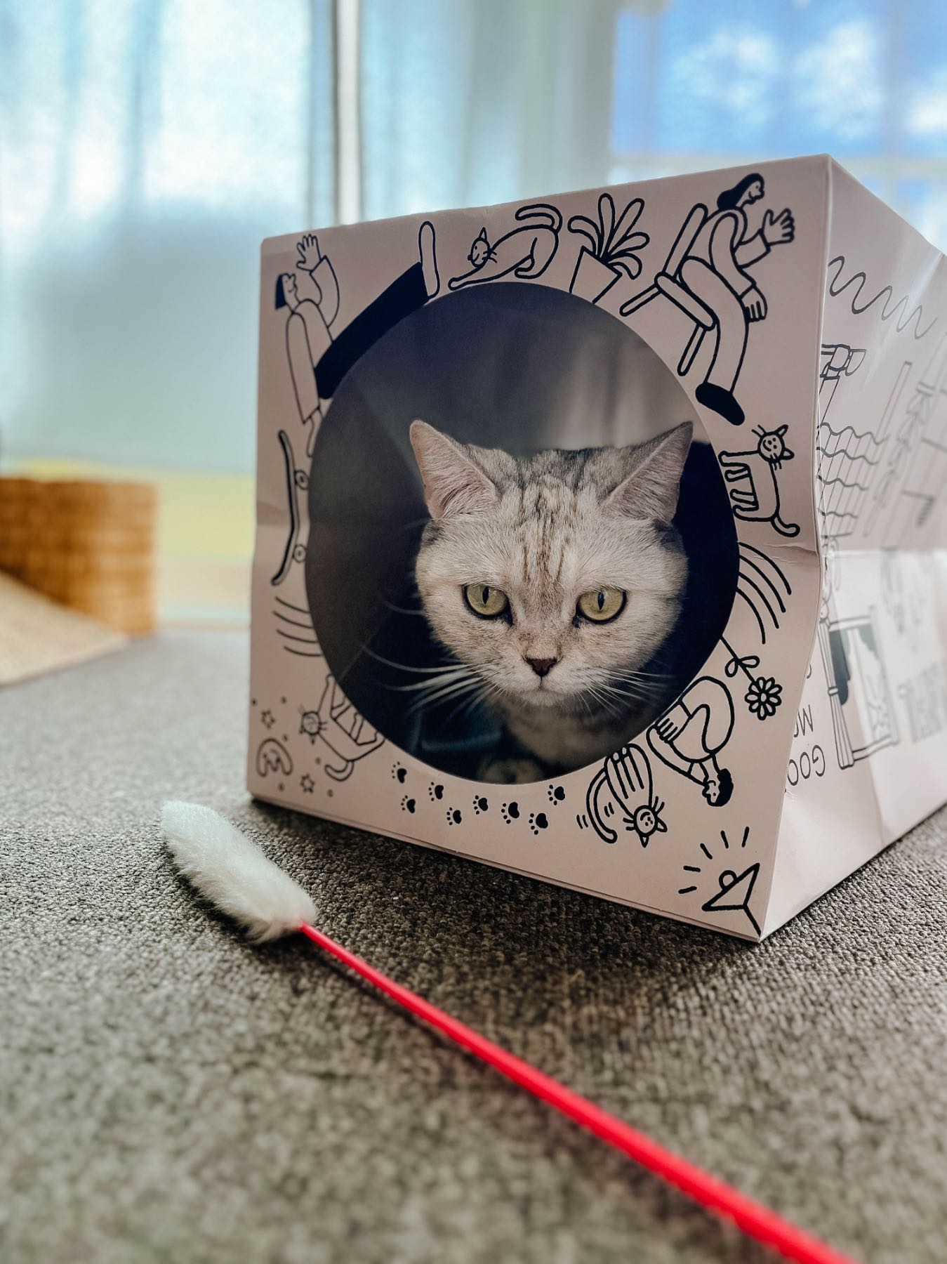 STOMACHACHE. × Orneko ネコトンネル｜オルネコ（おもちゃ）｜オルネ