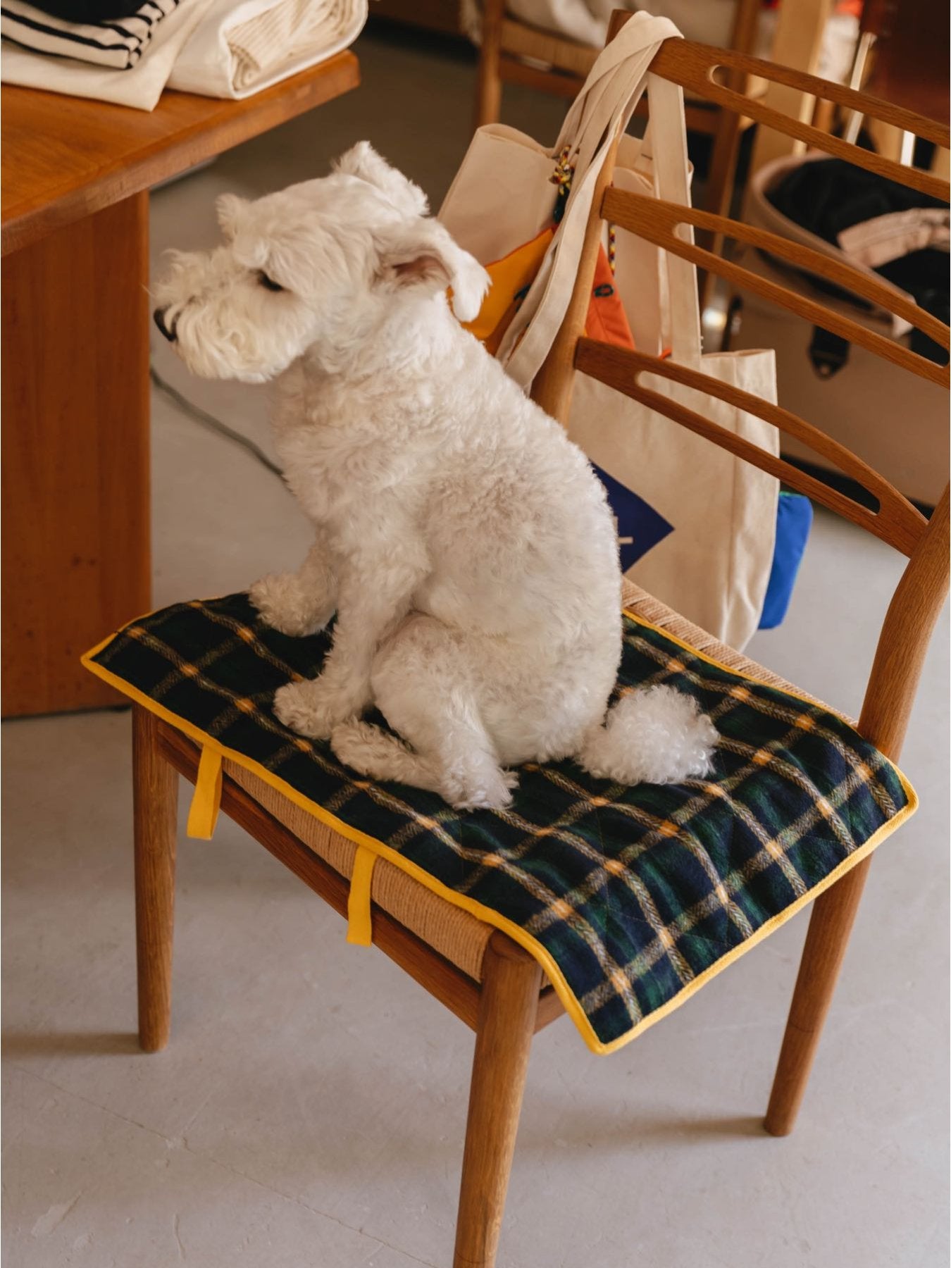 13_or0556-3.jpg?v=1749802596&