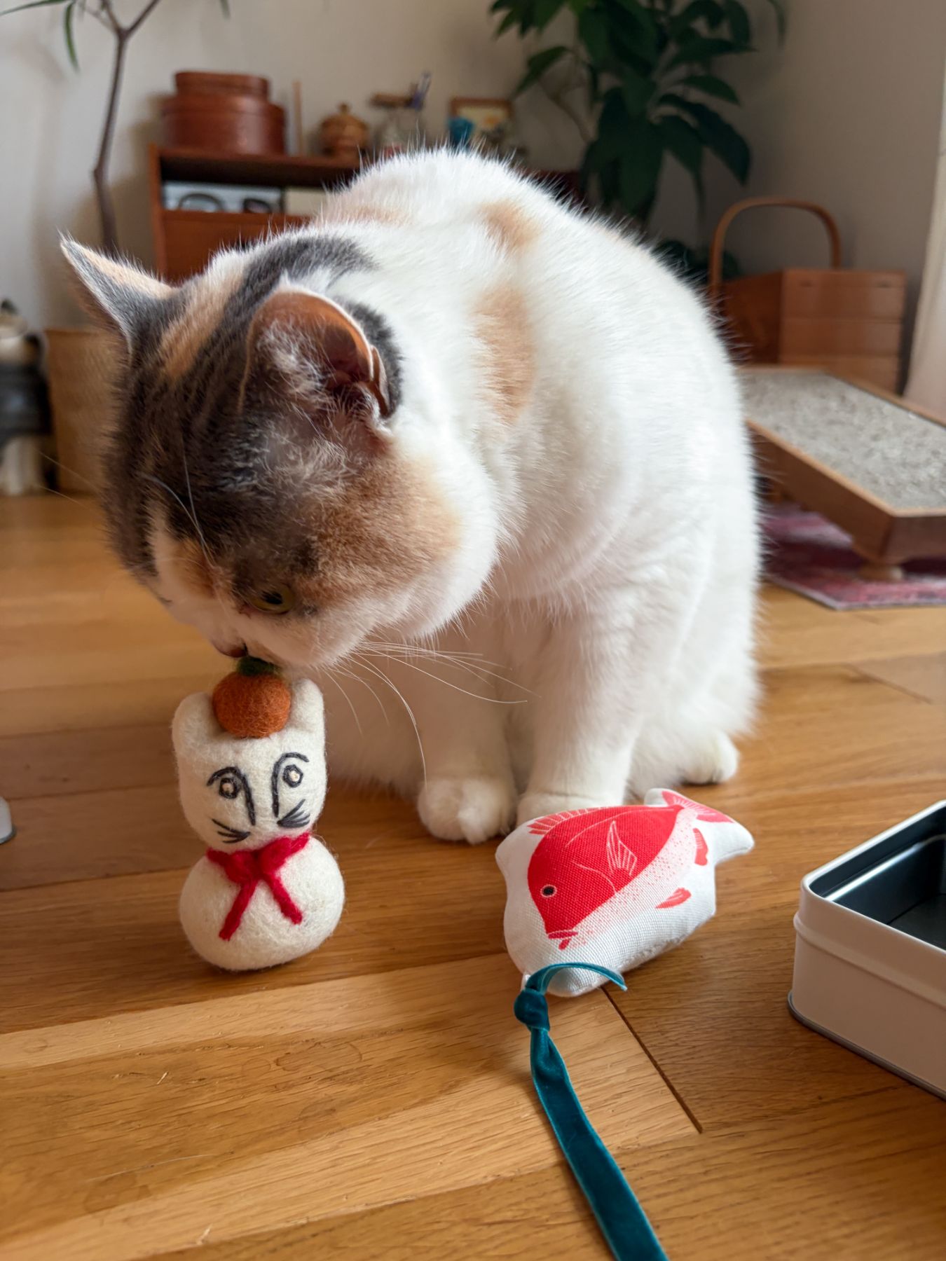 オルネコ 福ネコ缶 2026｜オルネコ（おもちゃ）｜オルネ ド フォイユ