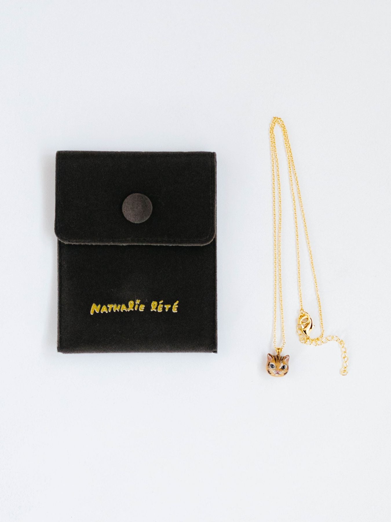 専用ケース付きです。