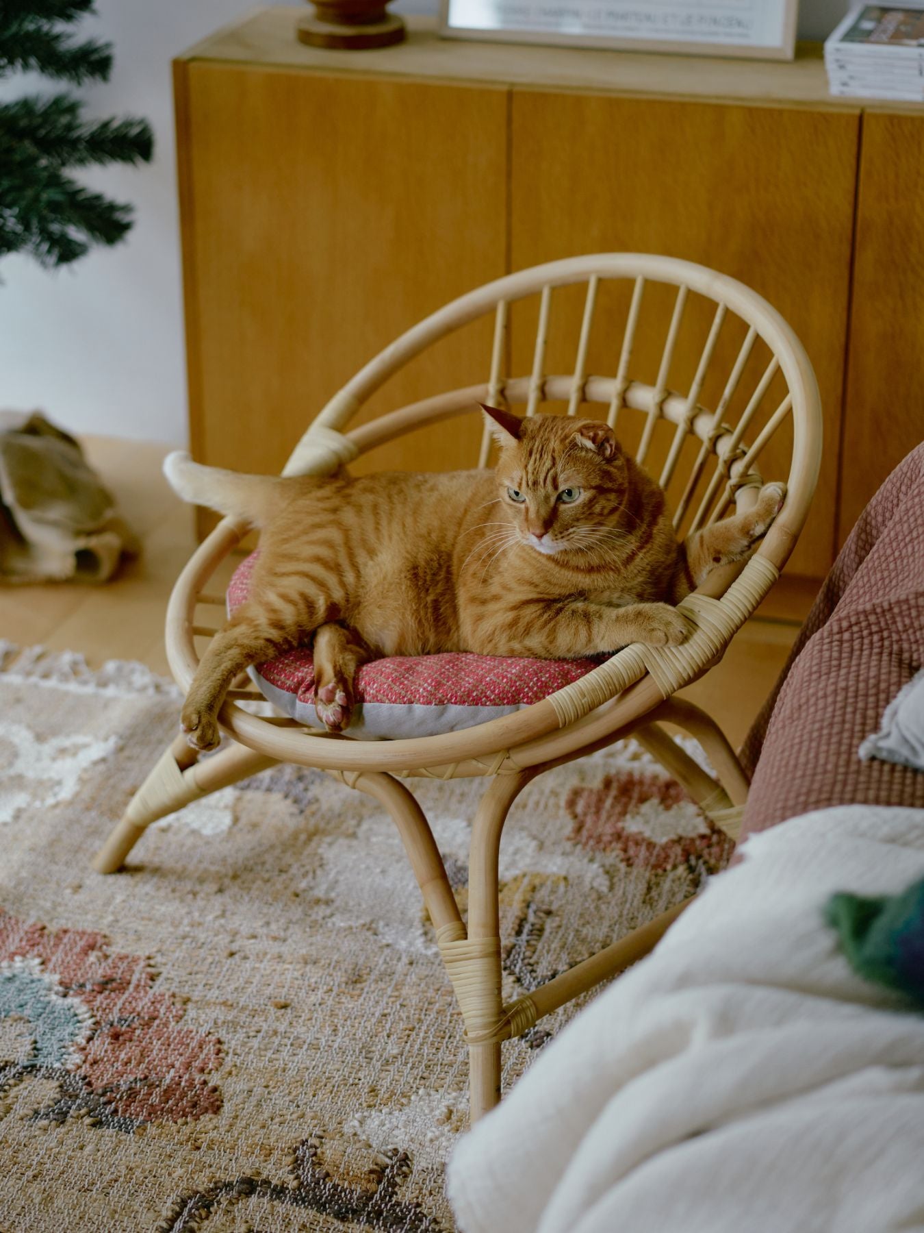 ラタンラウンドチェア（リバーシブルクッション付き）｜家具｜オルネ