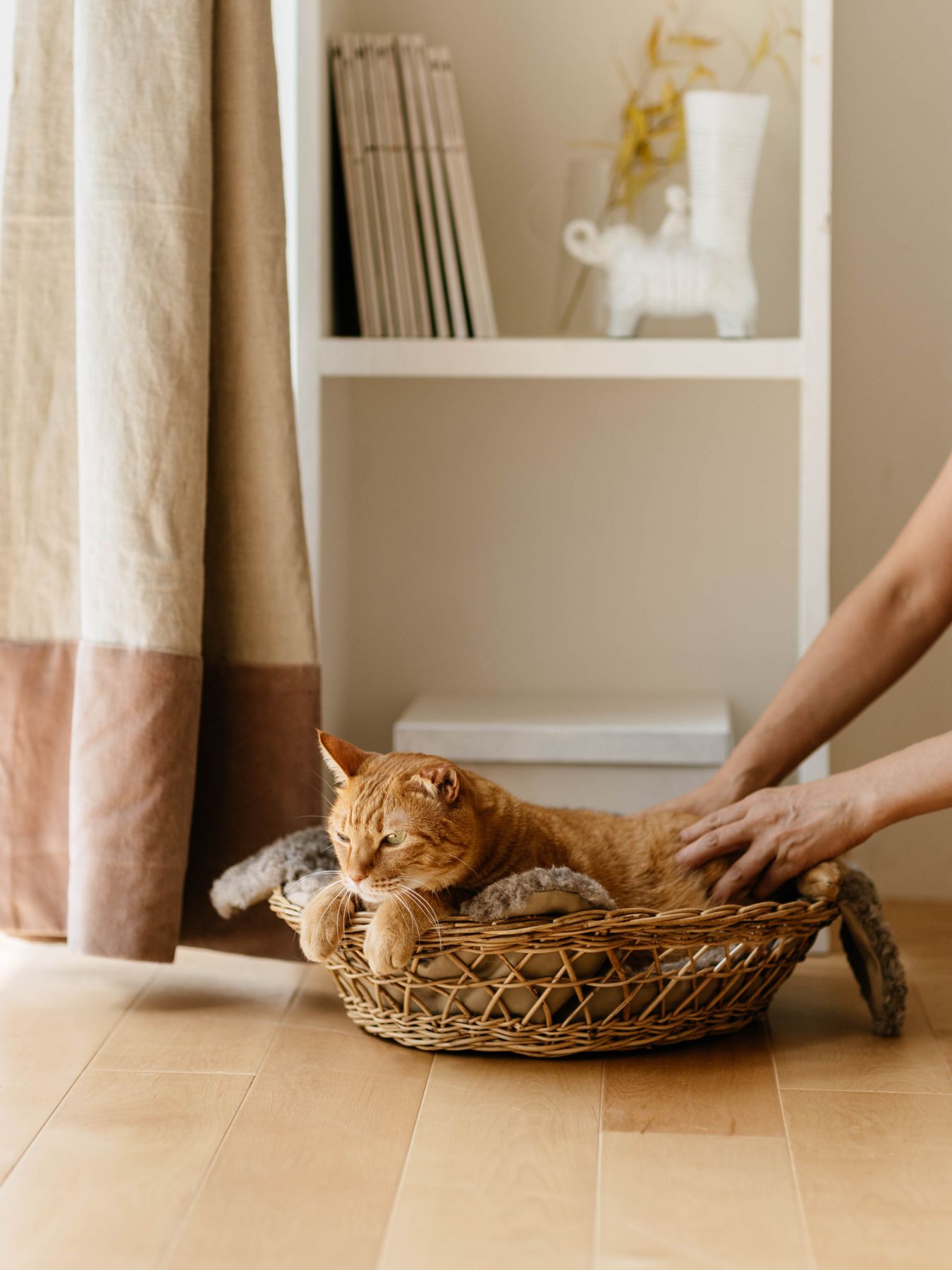 オルネコ・キャットバスケット Blottie｜オルネコ（ベッド・ハウス