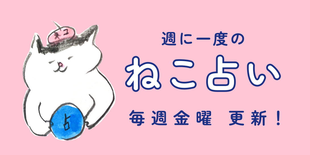 ねこ占い