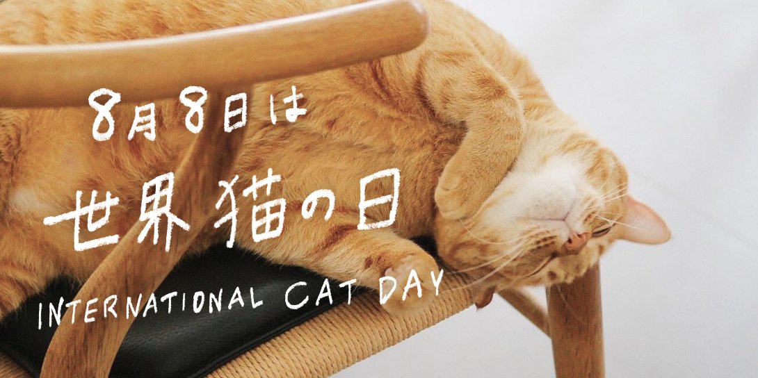 世界猫の日_特設ページ