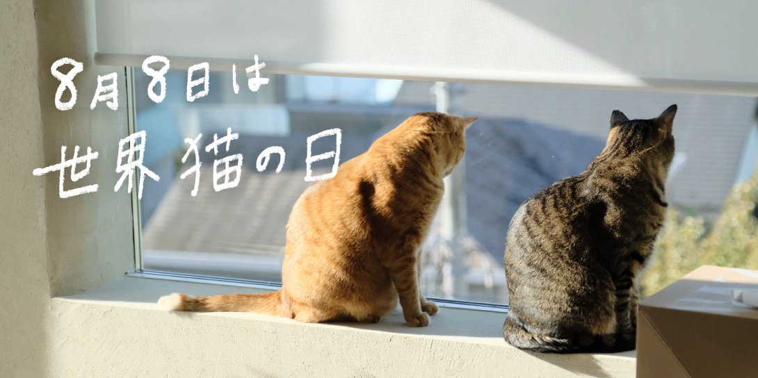 世界猫の日_特設ページ