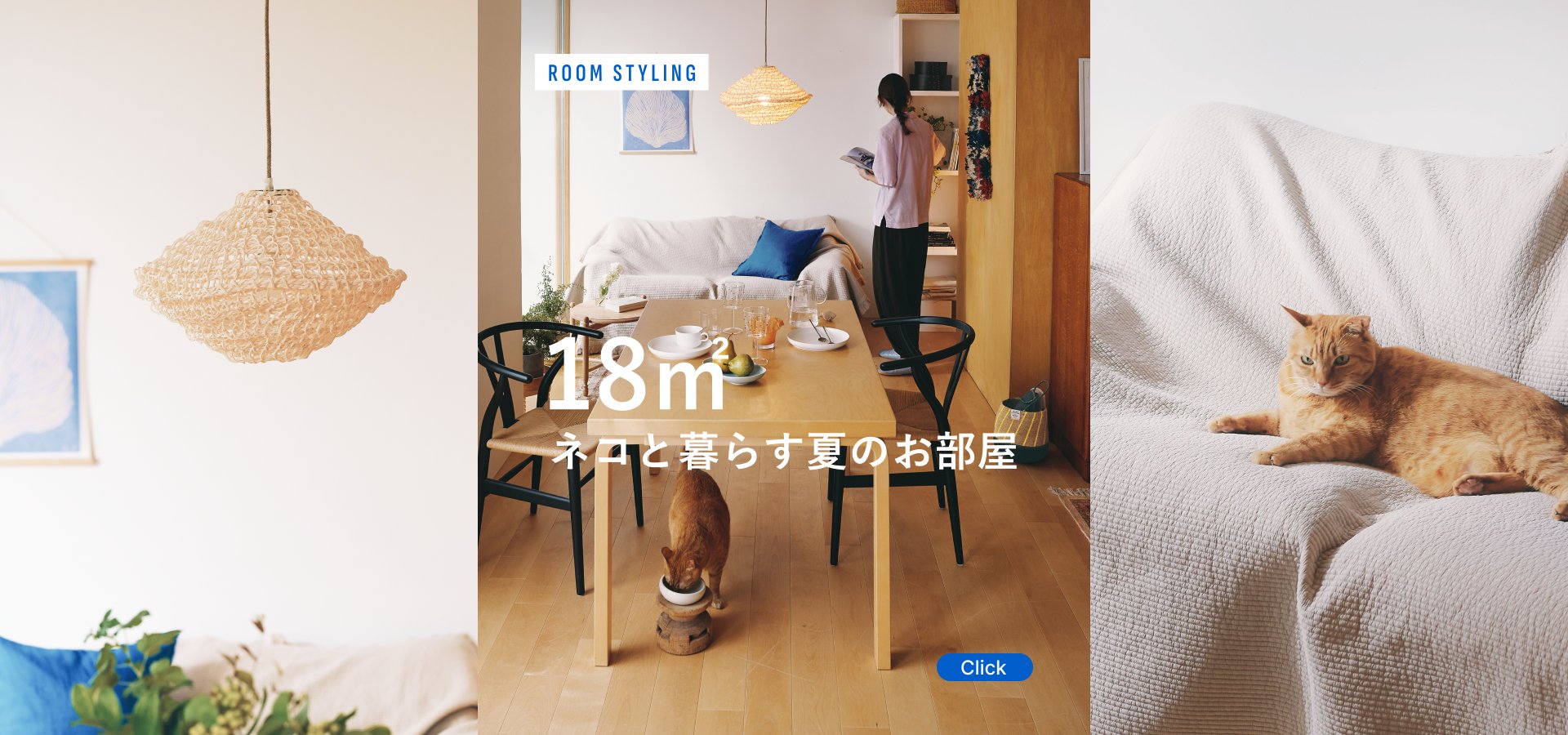 18㎡、ネコと暮らす夏のお部屋