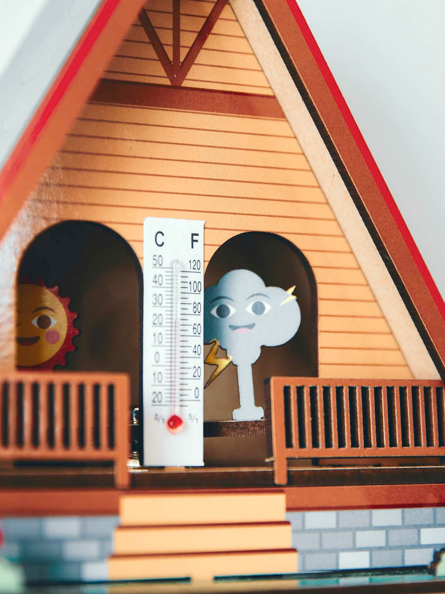 MAKE YOUR OWN WEATHER HOUSE 温度計（DIYキット）