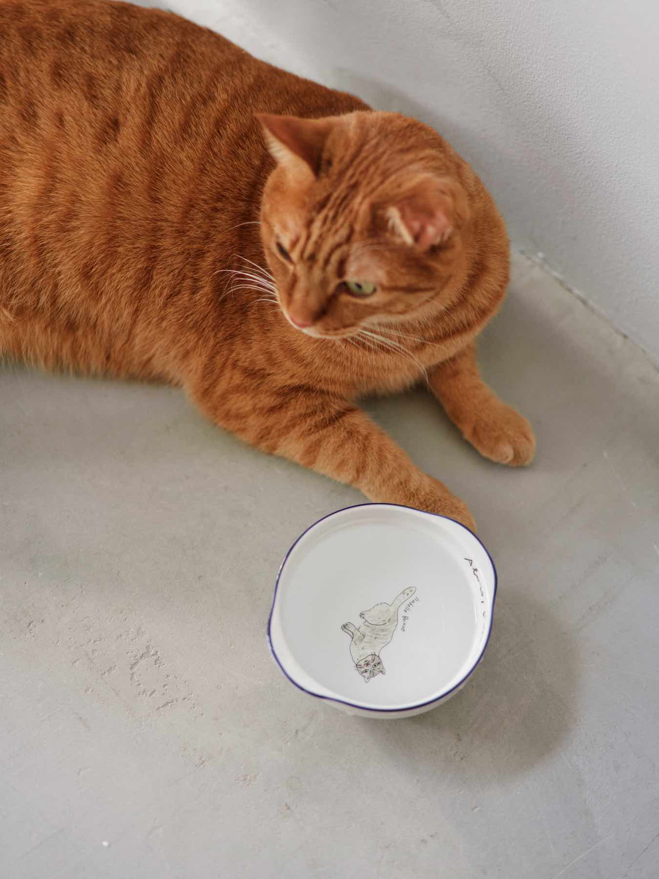 isabelle boinot × オルネコ フードボウル｜皿・器｜オルネ ド