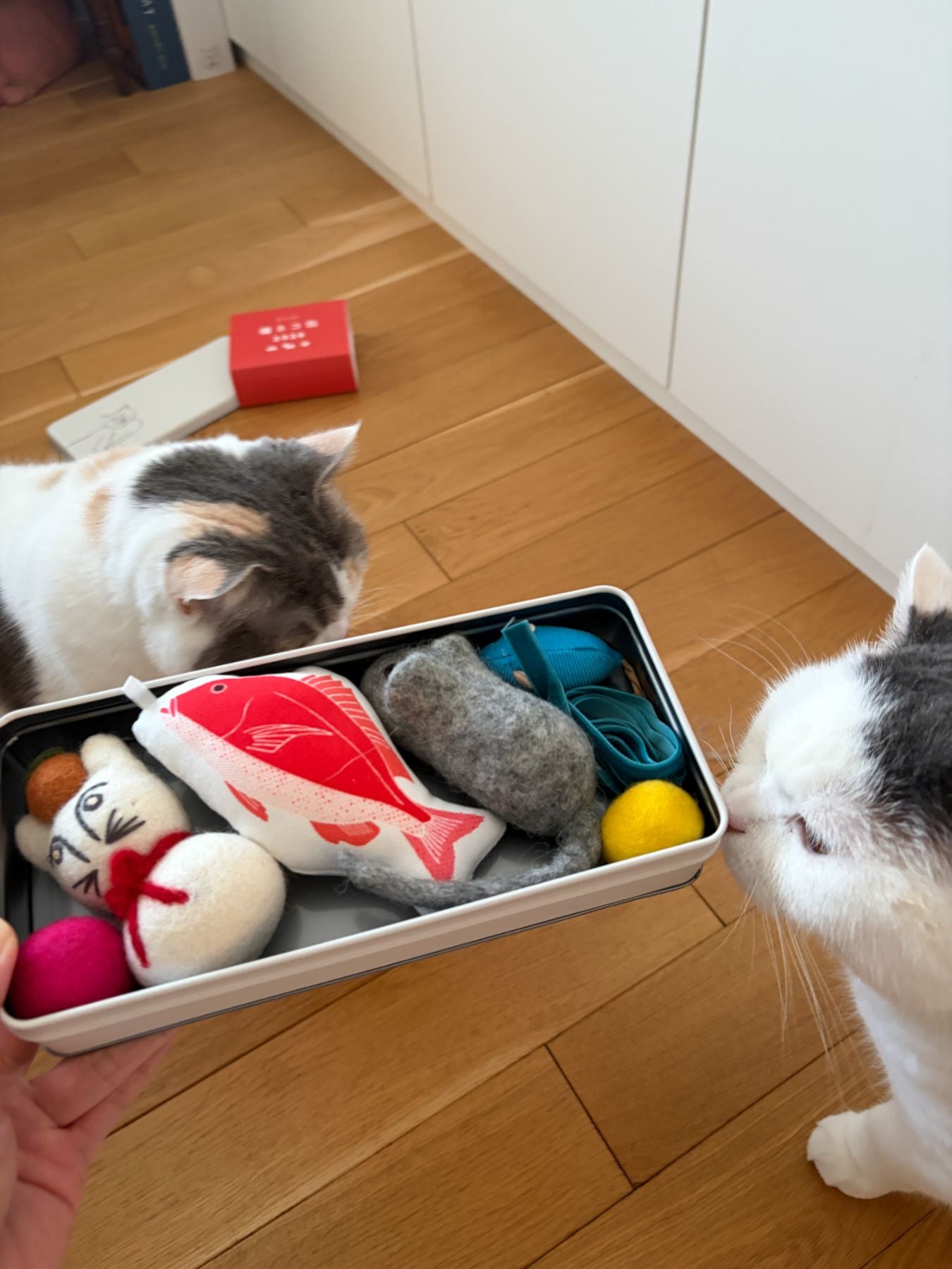 オルネコ 福ネコ缶 2026｜オルネコ（おもちゃ）｜オルネ ド フォイユ