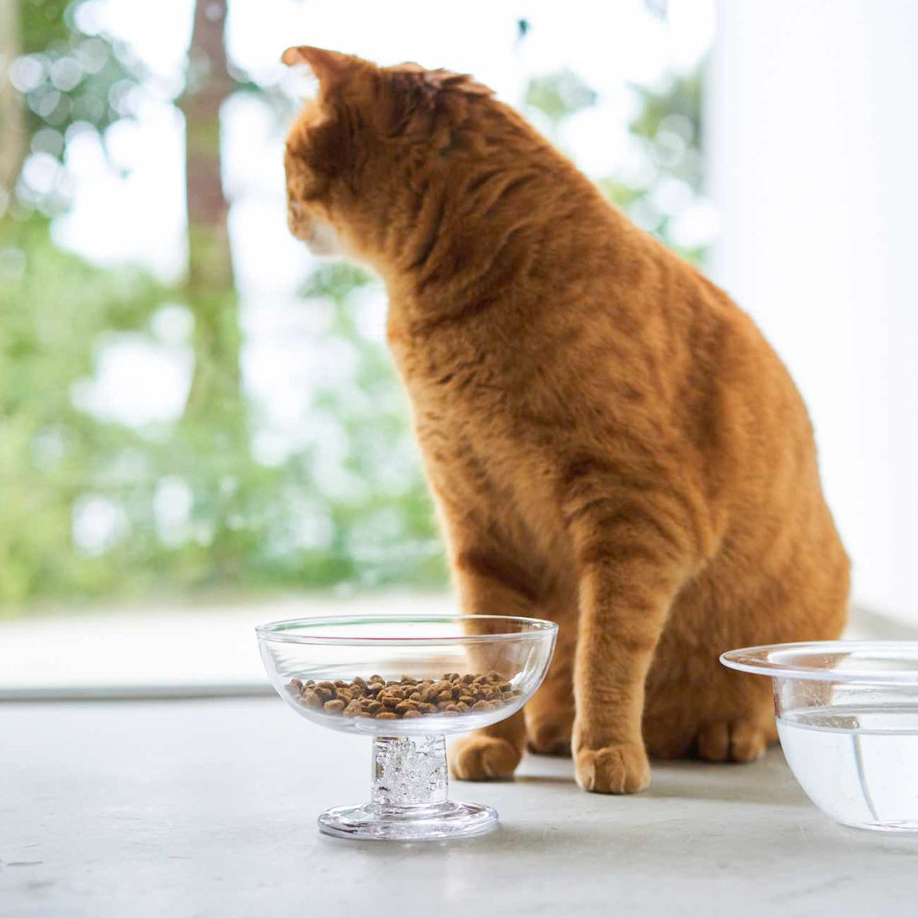 ネコのフードボウル・フードボウルスタンド｜オルネコ｜オルネ ド