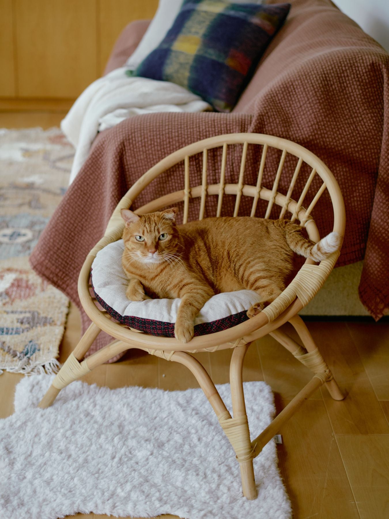 ラタンラウンドチェア（リバーシブルクッション付き）