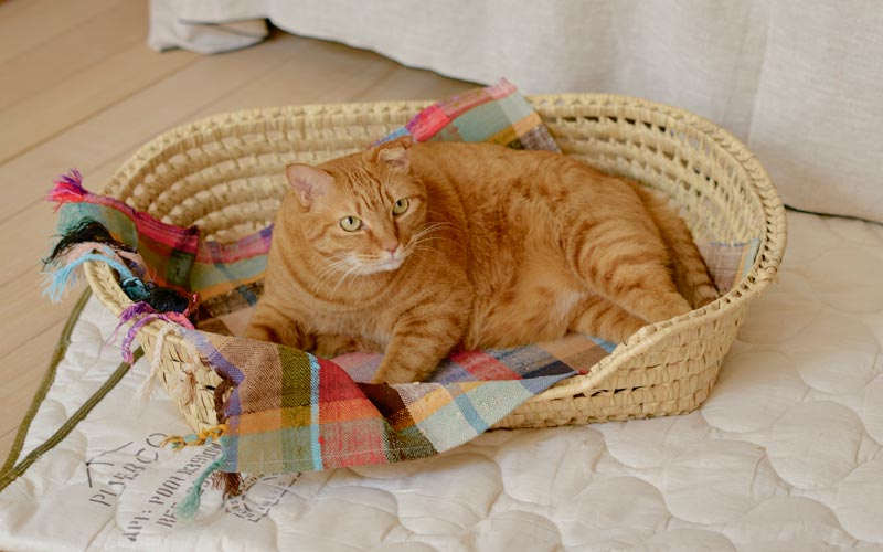 1960年〜1970年　大きい！レアな海外ヴィンテージ置物8点【約6万円】レトロ 1960年〜1970年 大きい！レアな海外ヴィンテージ置物8点【約6万