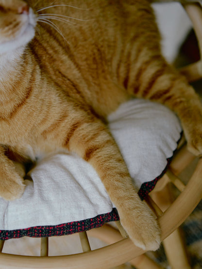 ラタンラウンドチェア（リバーシブルクッション付き）