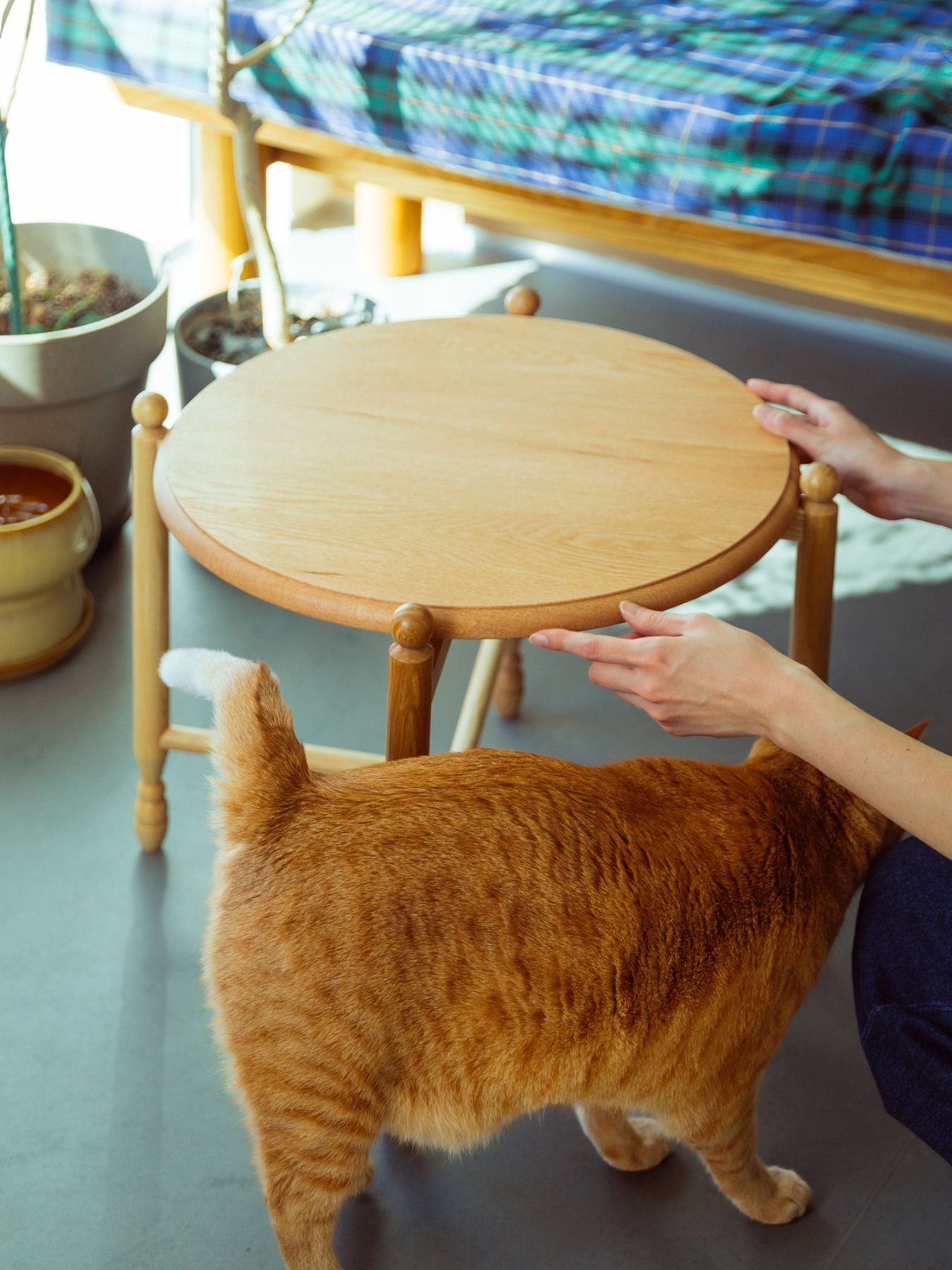 オリジナル・折りたたみ式コーヒーテーブル