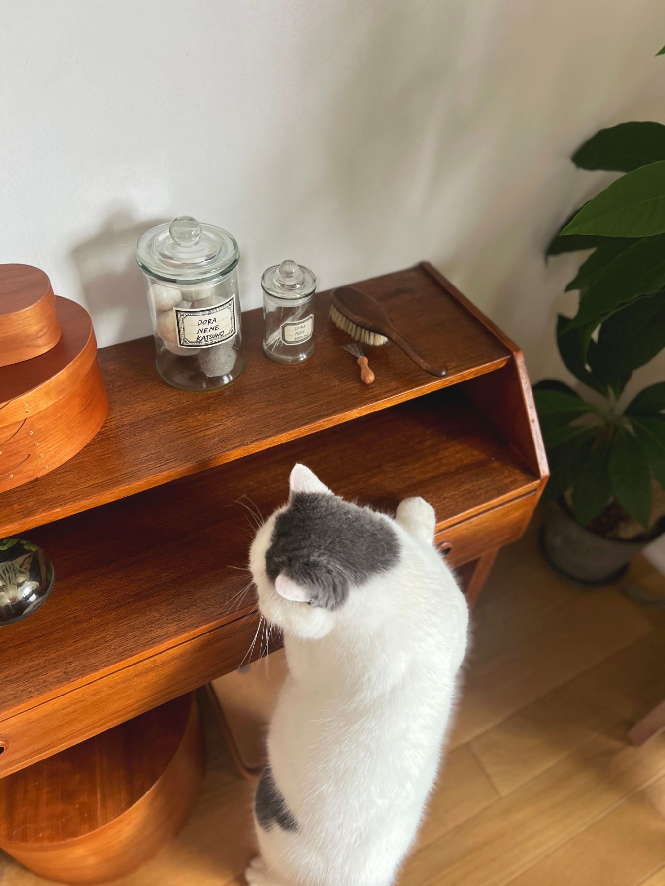 【新品】オルゴール 30弁 会津塗り小物入れ 猫 ネコ 会津塗 小物入れ オルゴール 猫
