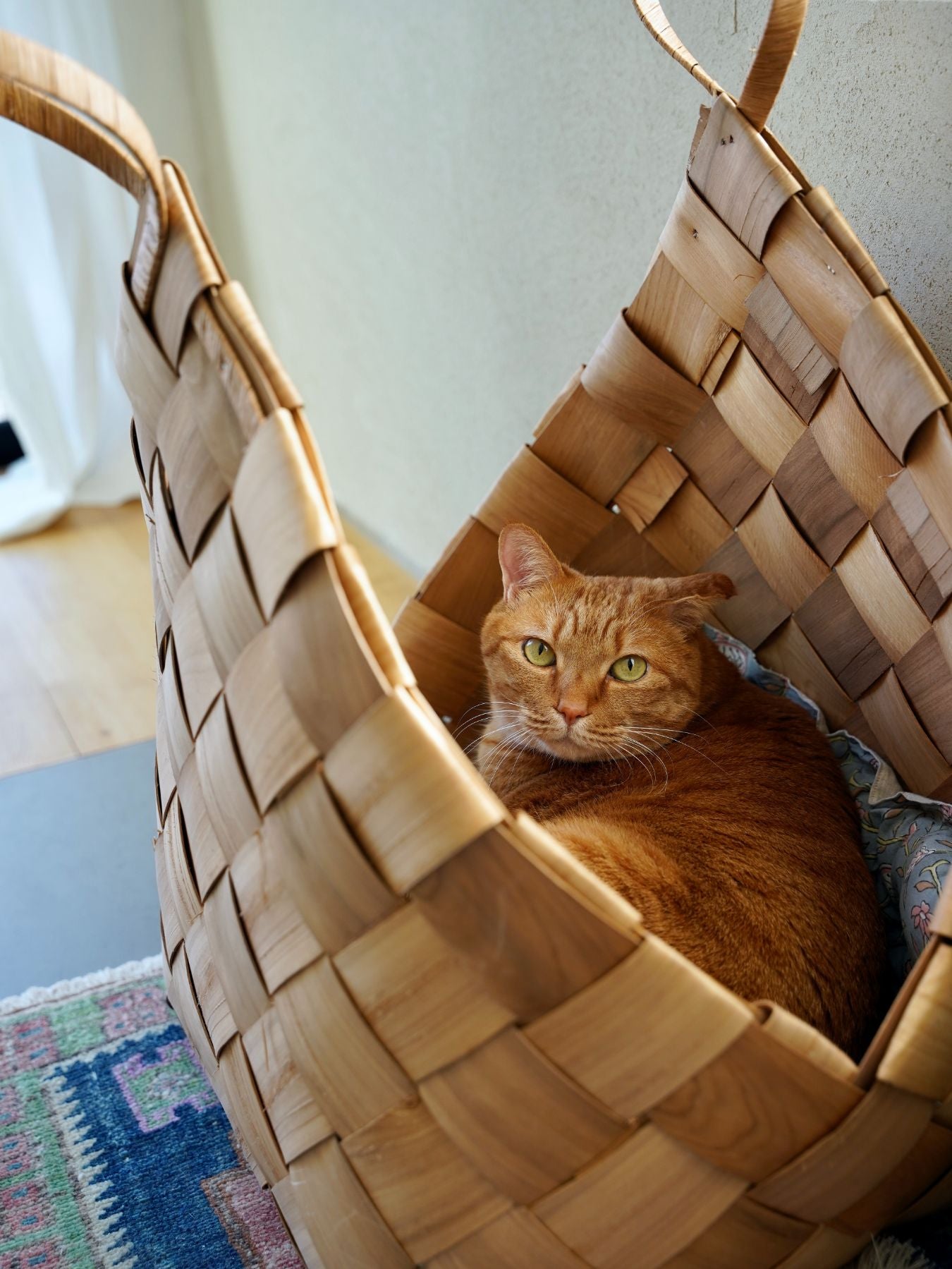 コニカルバスケット／L