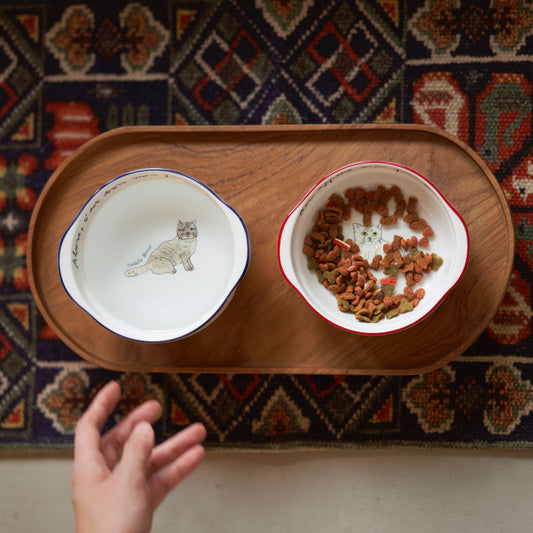 isabelle boinot × オルネコ フードボウル