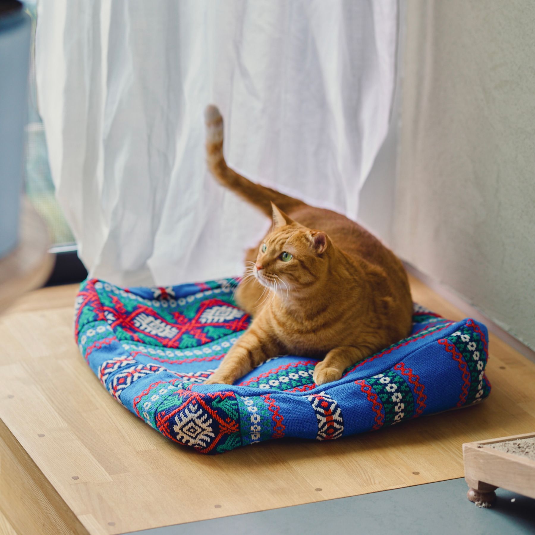 オルネコ・猫のプフカバー／ハイク｜オルネコ（クッション・マット