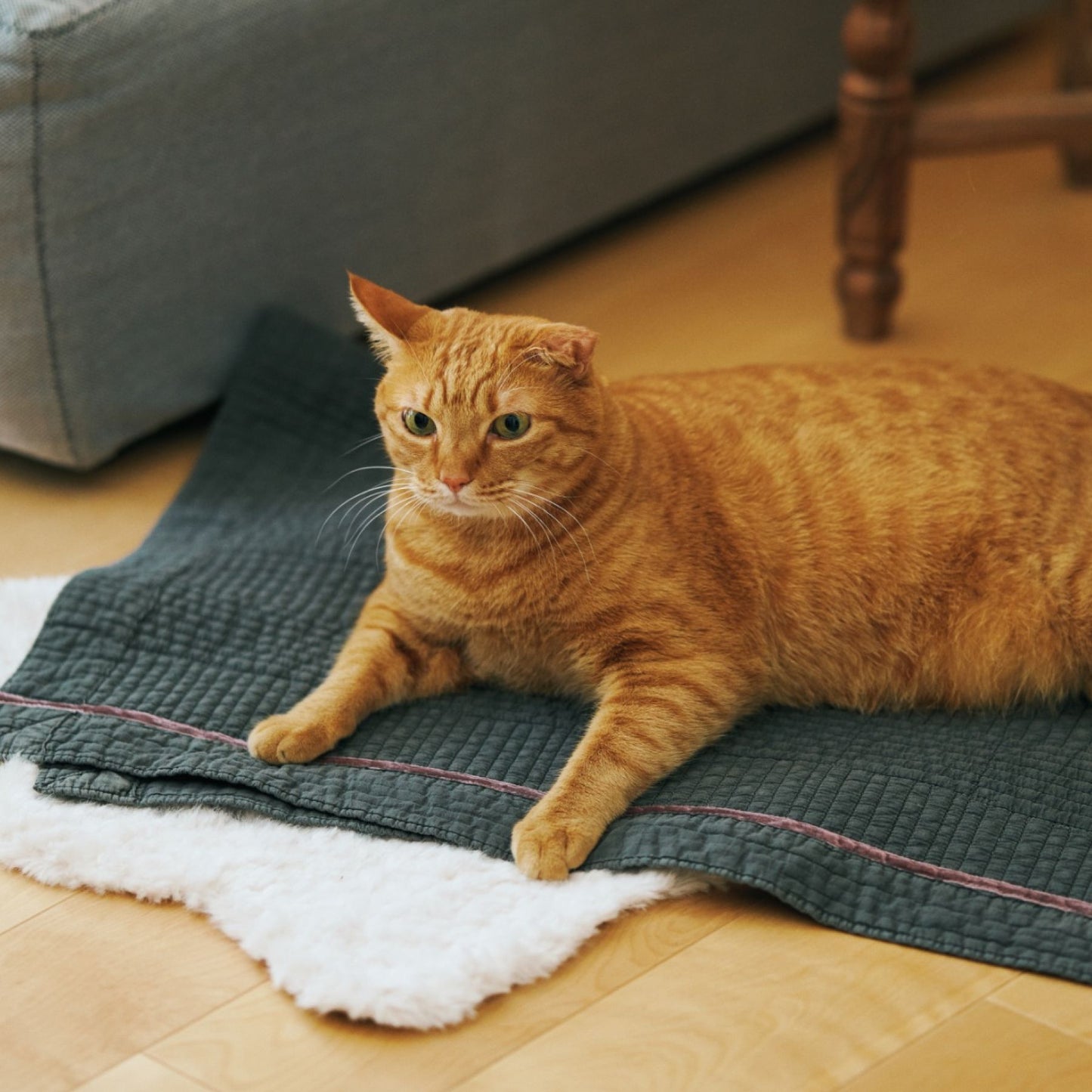 kazumi × Orné de Feuilles  イブルマット