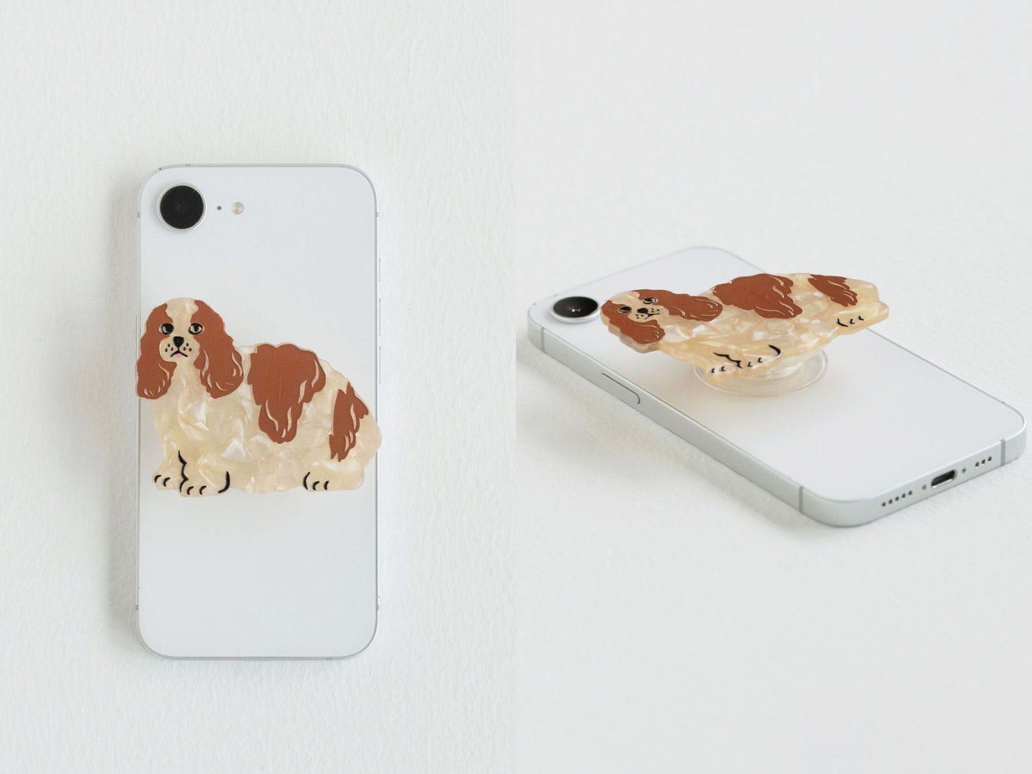 TWO TONE DOG