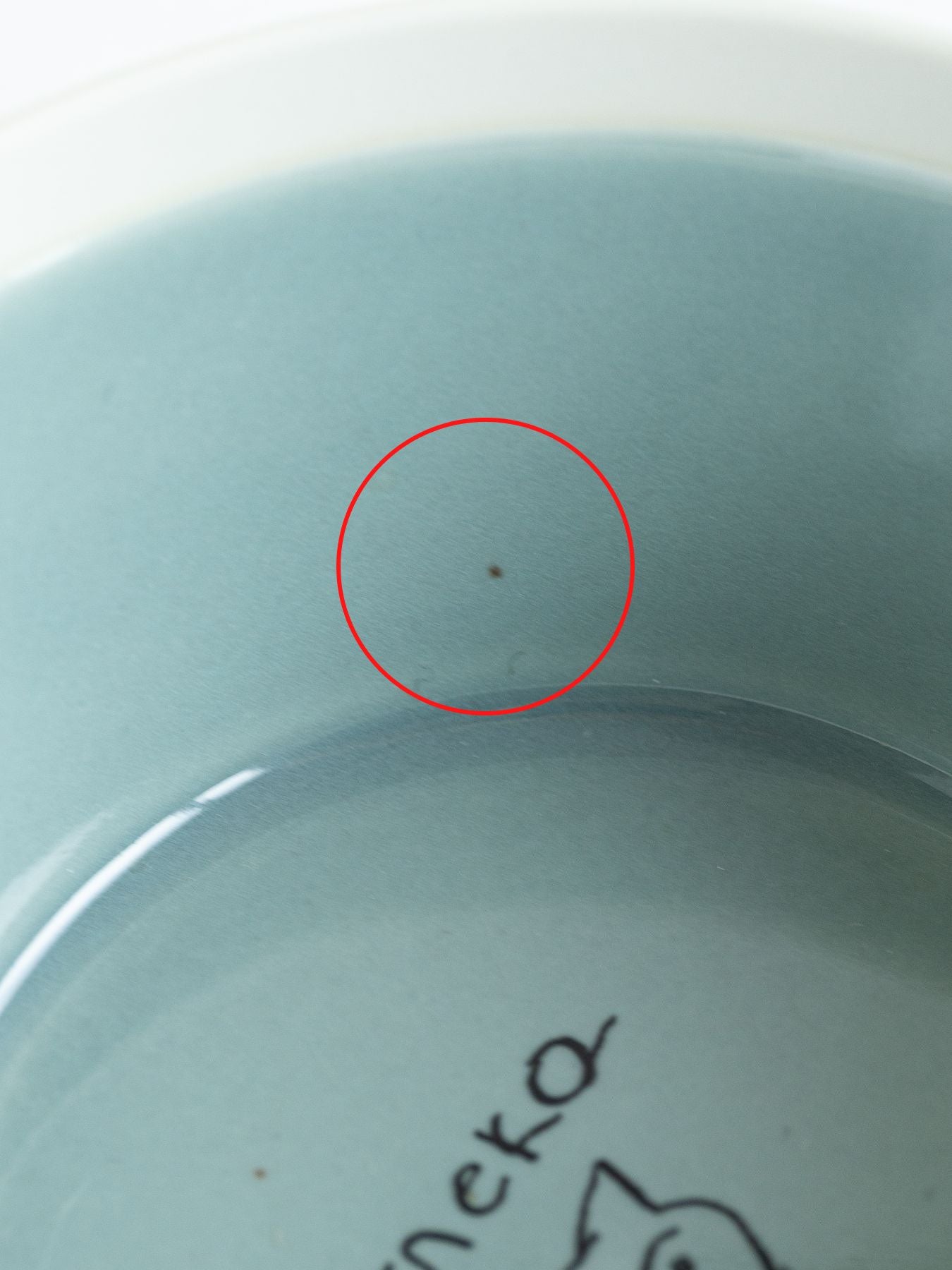 アップサイクルのため、器には黒点や色むらが見られます。