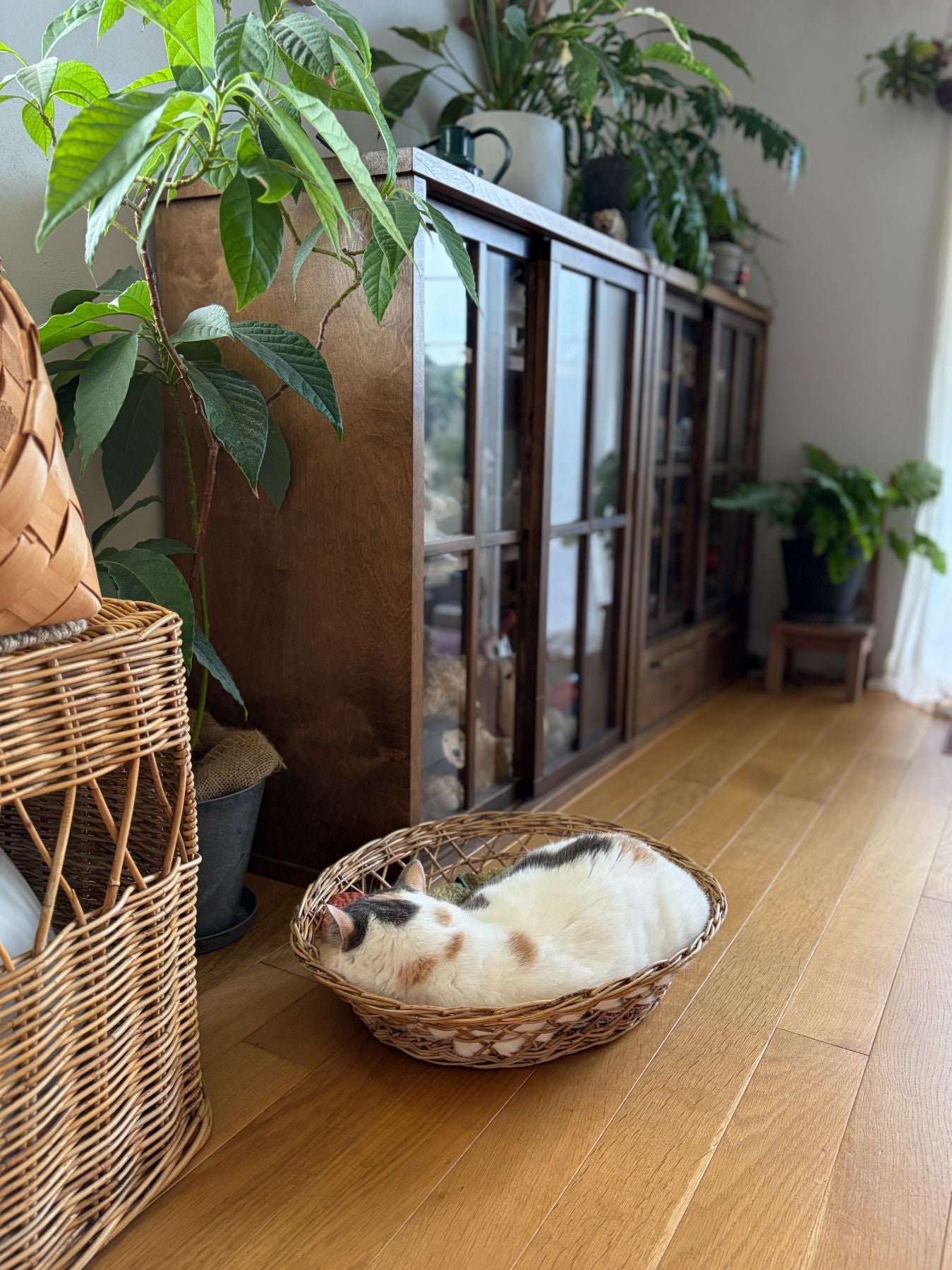 【美品】オルネコ オリジナル・スタンドバスケット　天然素材 編み込みバスケット オルネコ オリジナル・スタンドバスケット｜かご・収納｜オルネ ド