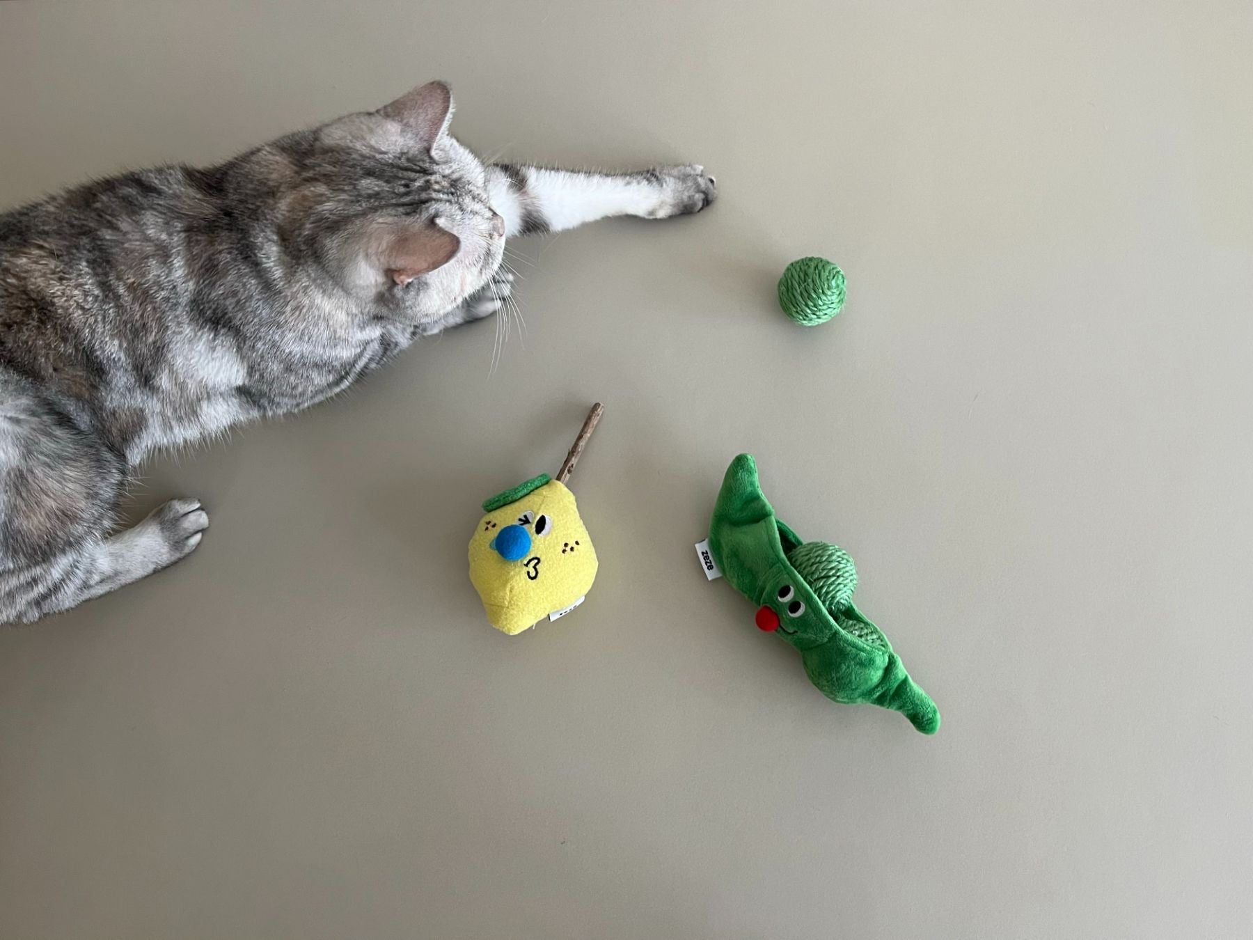 ZEZE TOY（猫のおもちゃ）｜オルネコ（おもちゃ）｜オルネ ド フォイユ