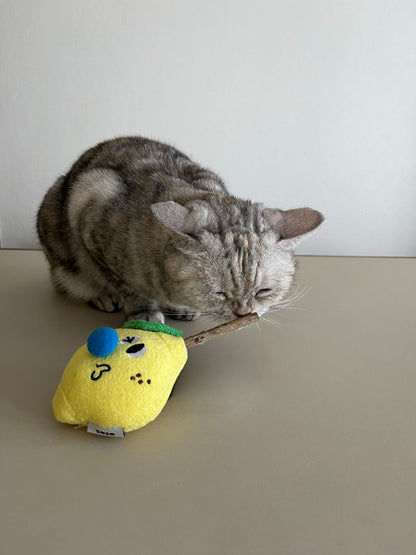 ZEZE TOY（猫のおもちゃ）