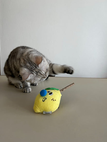 ZEZE TOY（猫のおもちゃ）
