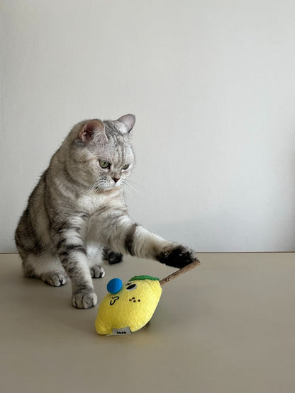 ZEZE TOY（猫のおもちゃ）