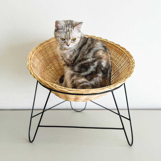 オルネコ・アイアンレッグラタンチェア