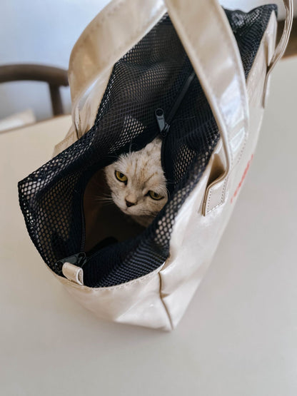 モデル猫：3.5kg