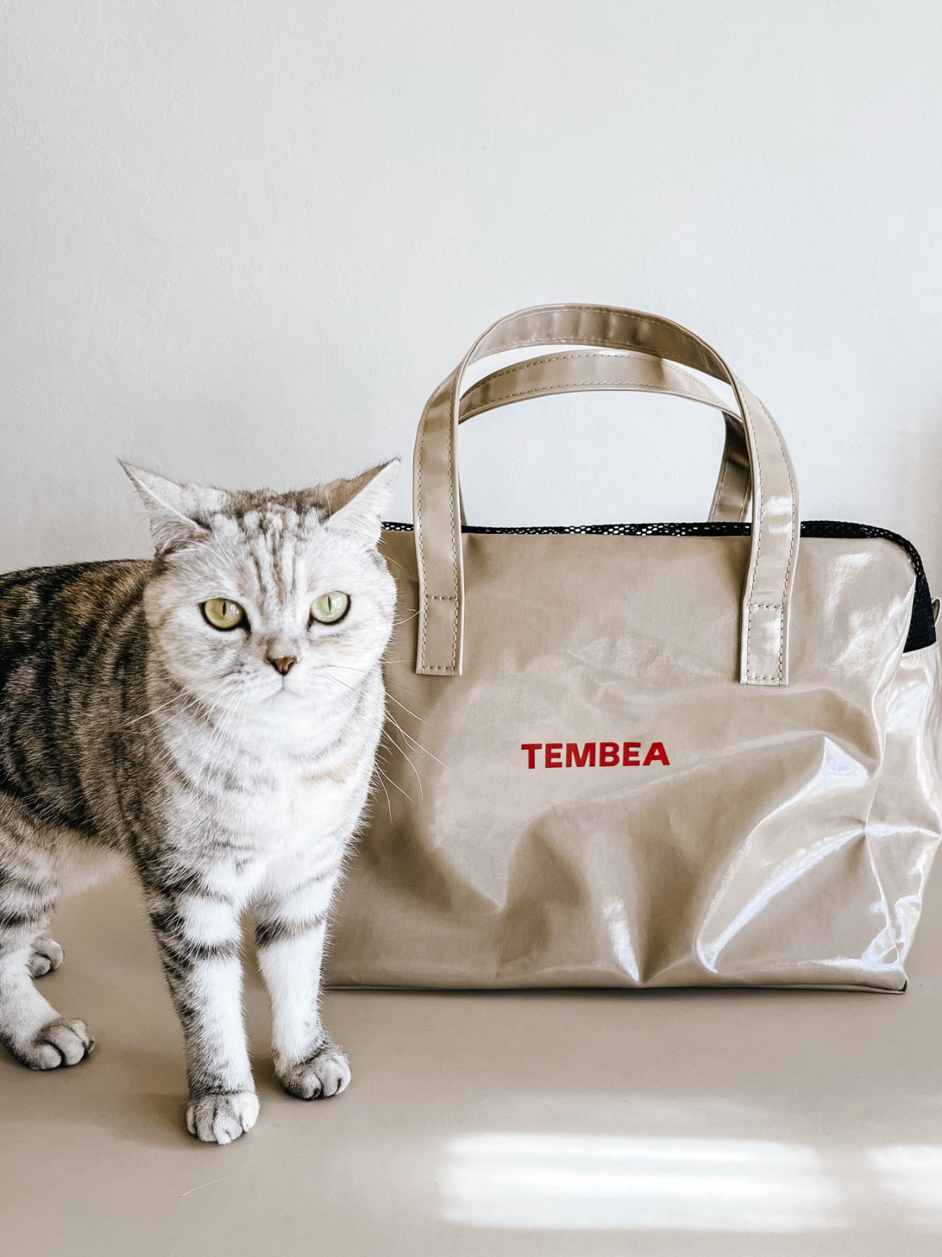 受注販売】TEMBEA × Orneko キャリーバッグ｜オルネコ（その他・お