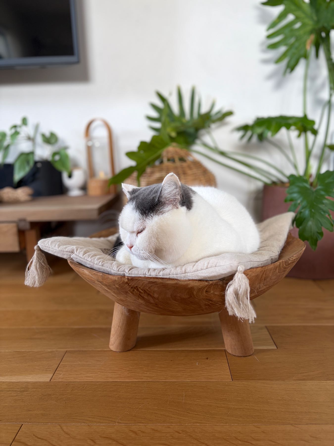 オルネコ・ウッドボウルベッド