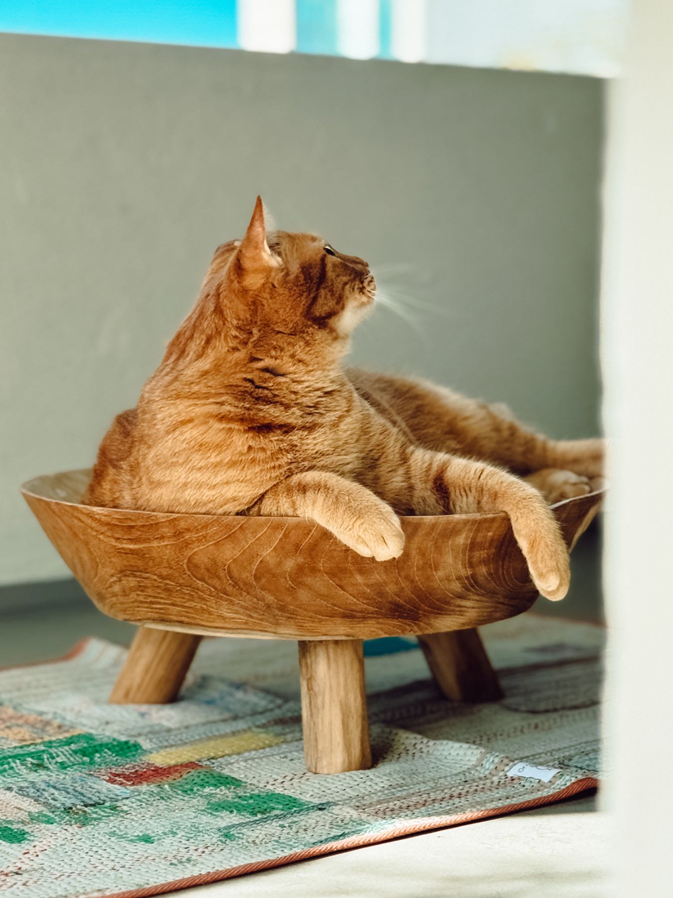 オルネコ・ウッドボウルベッド