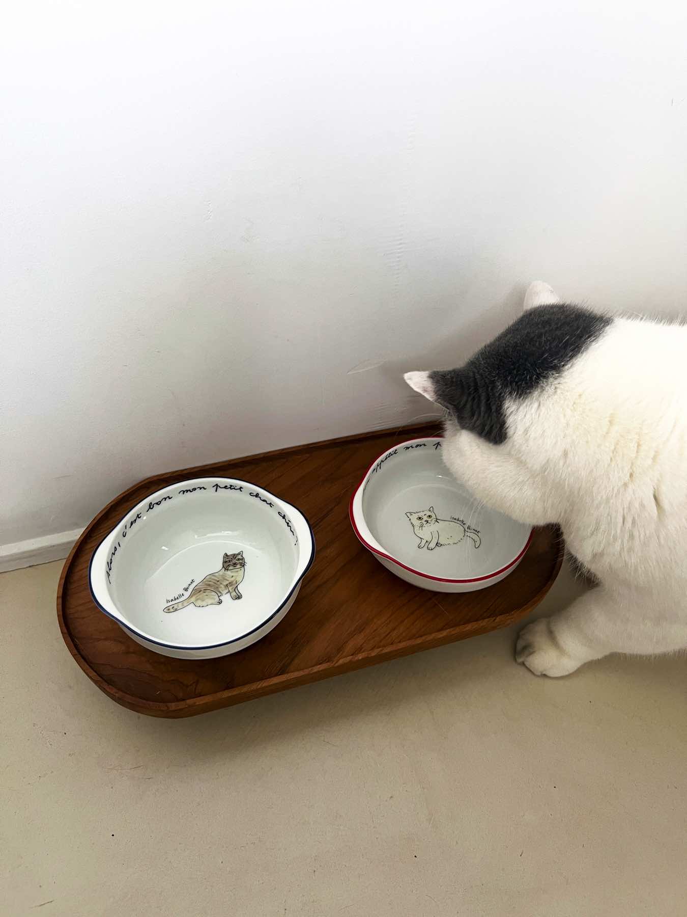 オルネコ フードボウル 浅型 3皿セット 楽天市場】【P5倍+最大300円