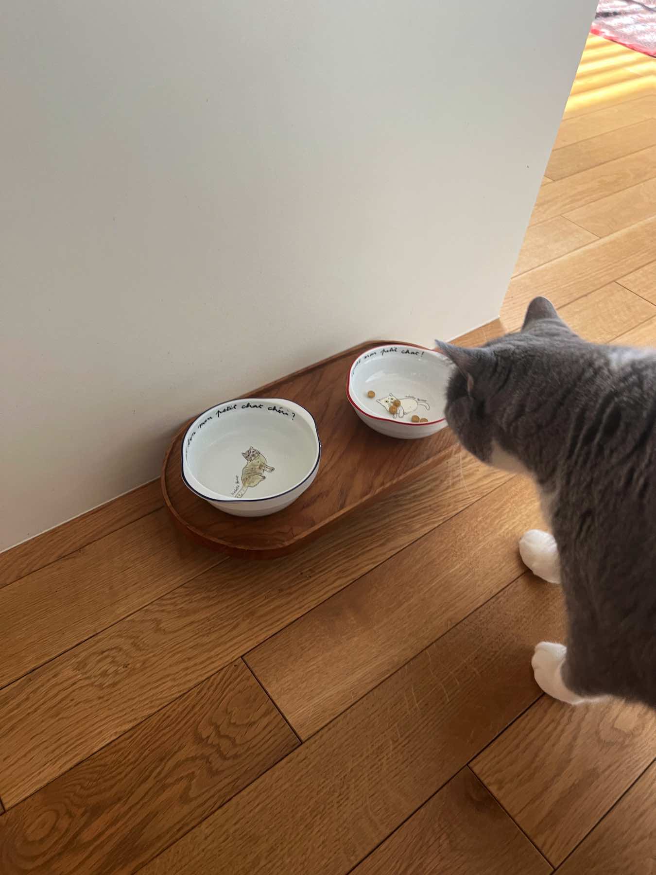 完売品♡オルネコ・オーバルネコテーブル ネコちゃんわんちゃん