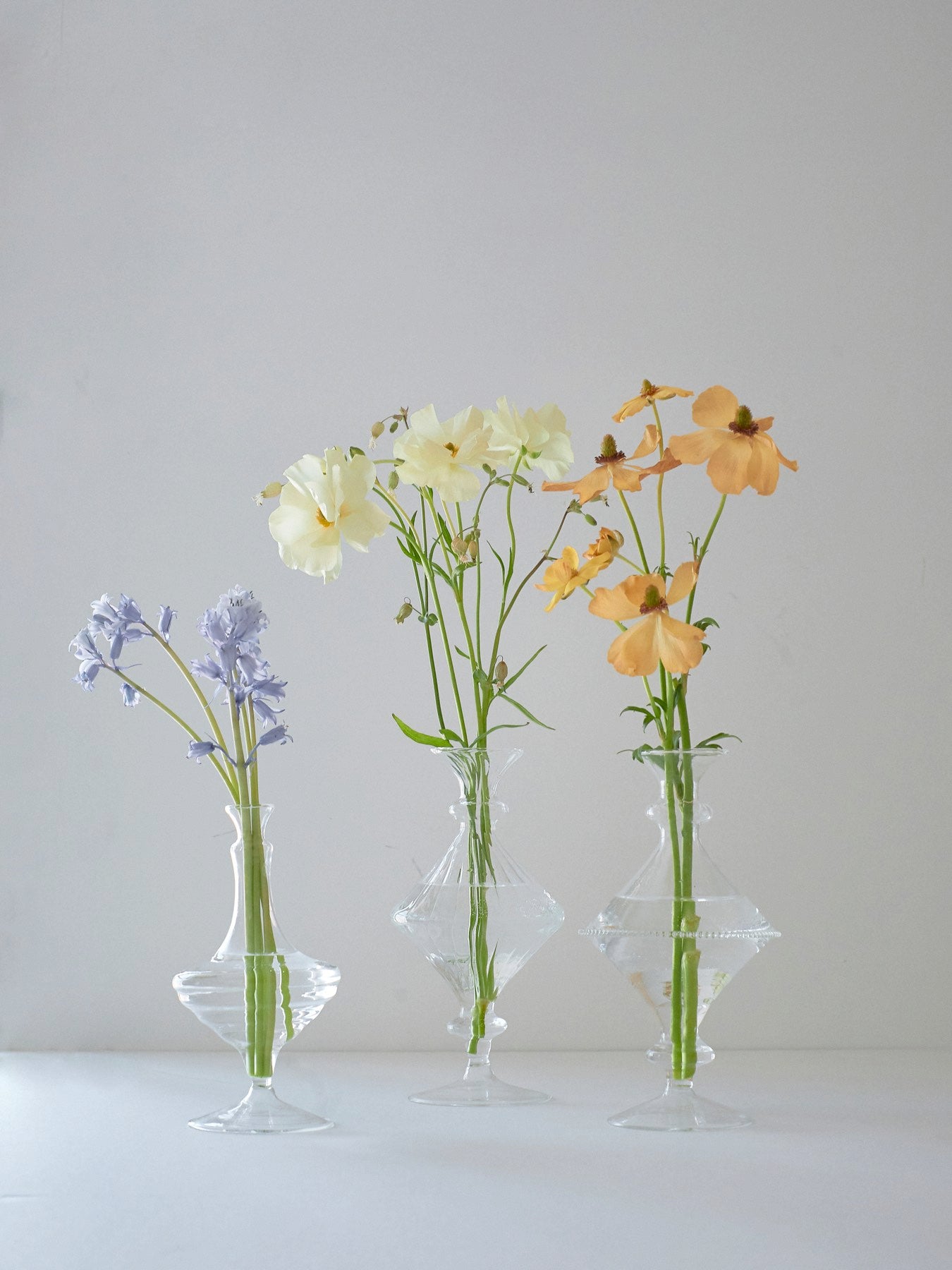 新品72弁☆お薦めテンポ♪カヴァレリアルスティカーナオルフェウス722