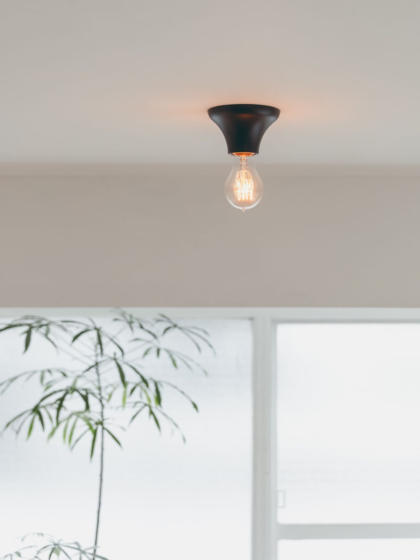 Flare ceiling light シーリングライト｜ペンダントランプ｜オルネ ド