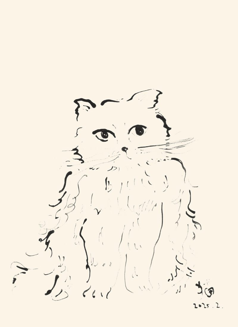 アートポスター OAMUL／Cat（30cm×40cm）｜アートポスター・フレーム