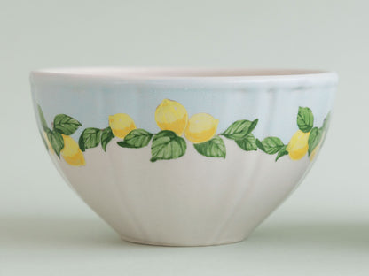 阿部慎太朗 豆花ボウル（檸檬バイカラー）