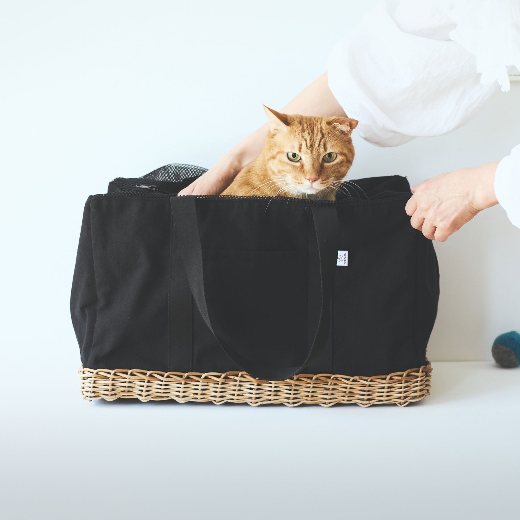 新入荷・再入荷アイテム ｜オルネ ド フォイユ 公式オンラインショップ