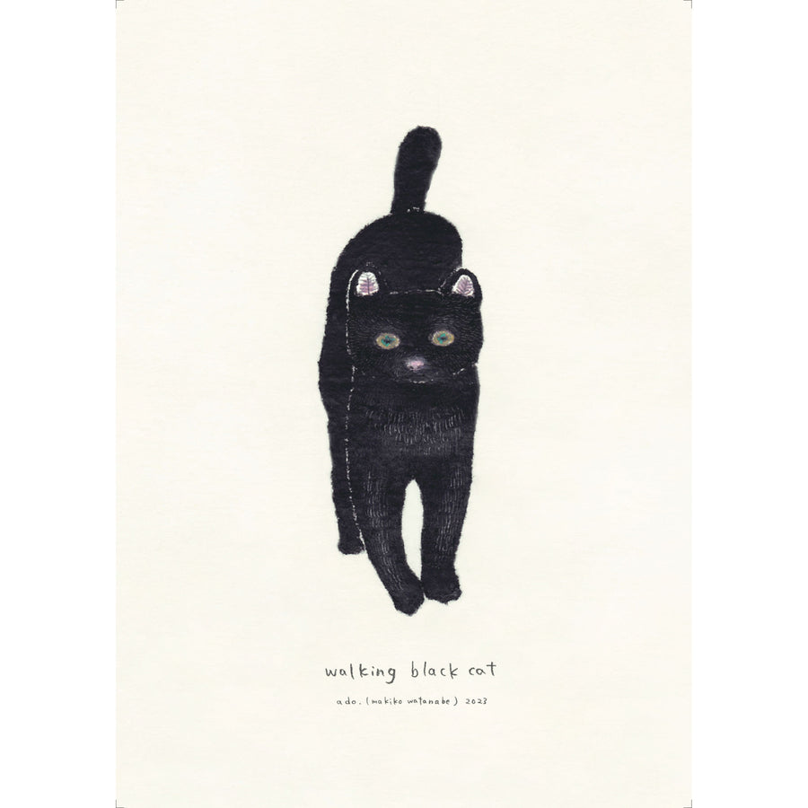 ado0012 - walking black cat