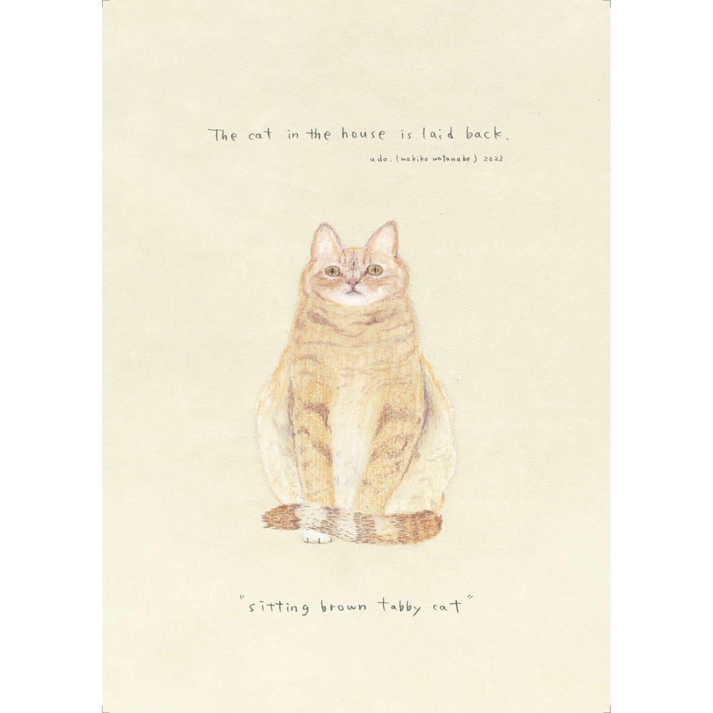 ado0013 - sitting brown tabby cat