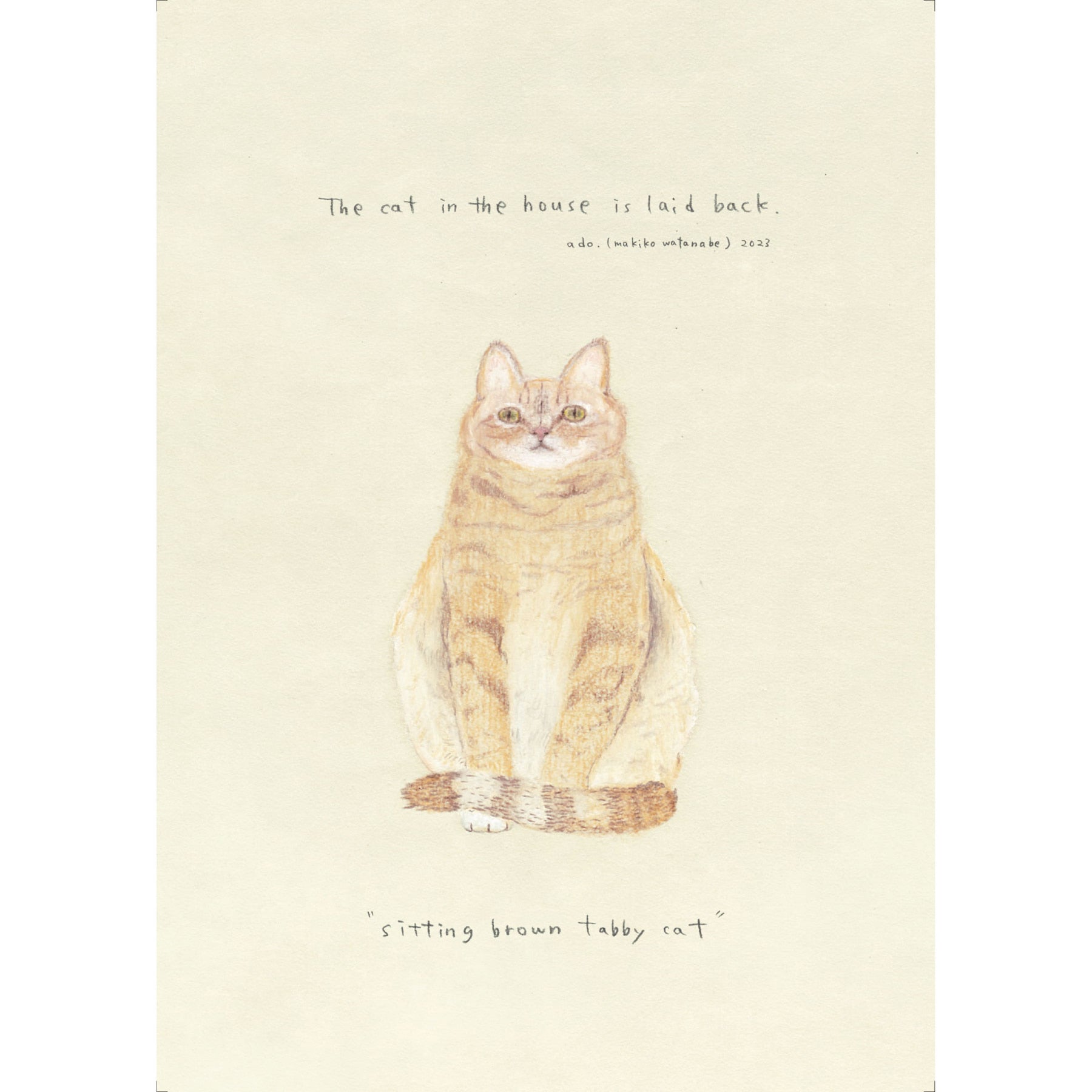 ado0013 - sitting brown tabby cat