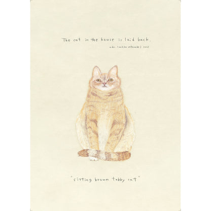 ado0013 - sitting brown tabby cat