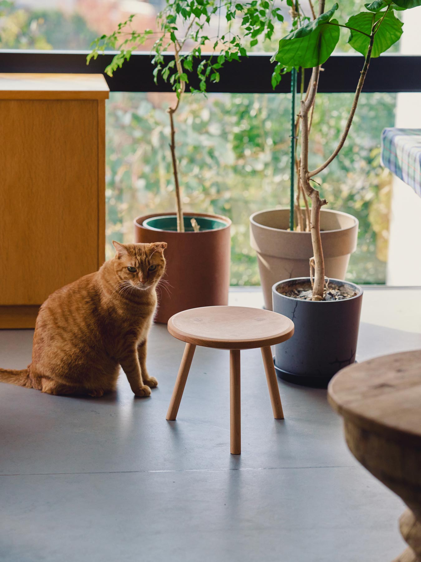 3legs stool（3本脚スツール）｜家具｜オルネ ド フォイユ公式