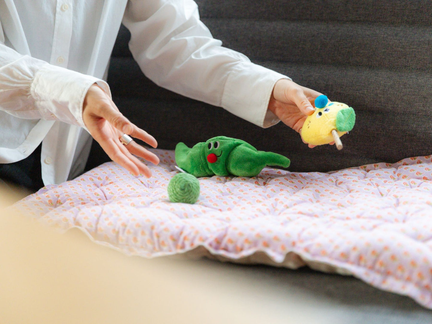 ZEZE TOY（猫のおもちゃ）