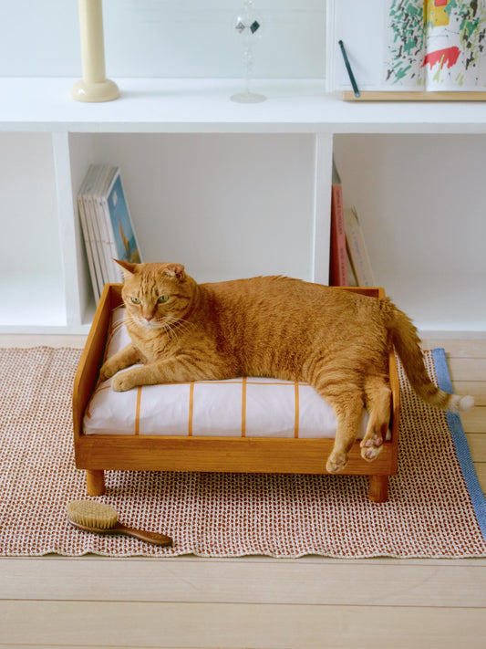 モデル猫：7.3kg