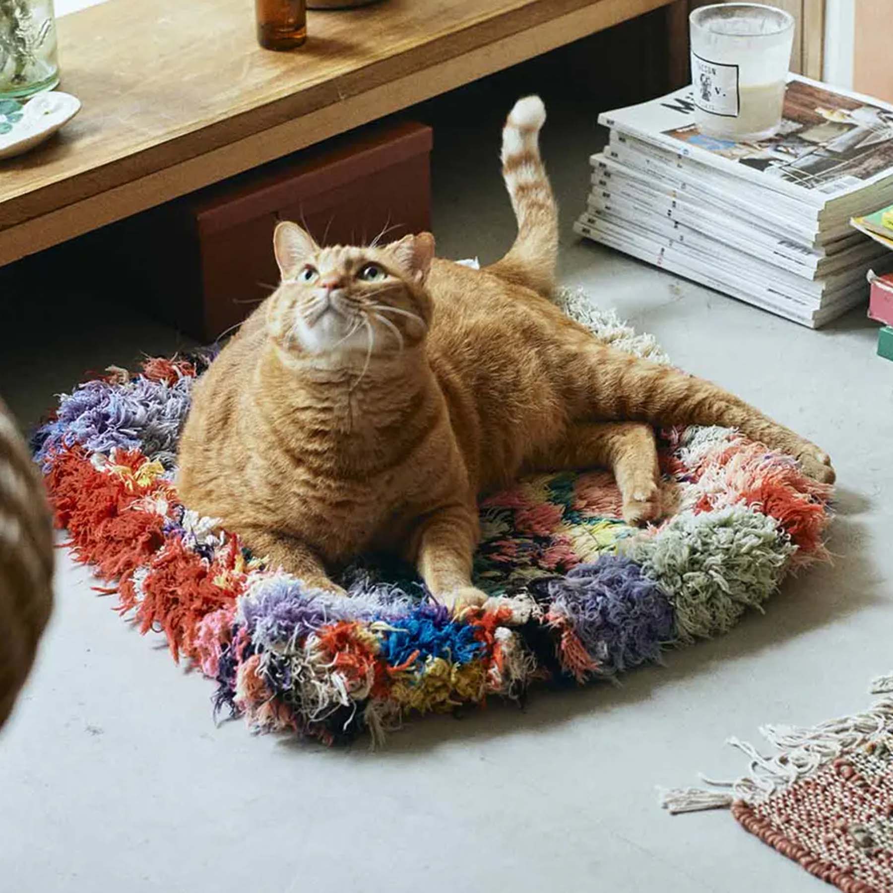 オルネコのinstagram 紹介アイテム | オルネコ | オルネ ド フォイユ